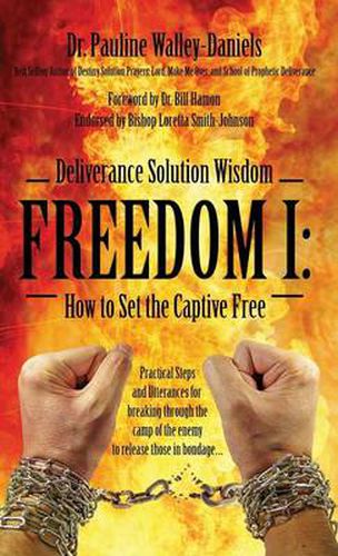 Cover image for Deliverance Solution Wisdom - Freedom I: How to Set the Captive Free - Practical Steps and Utterances for Breaking Through the Camp of the Enemy to Re