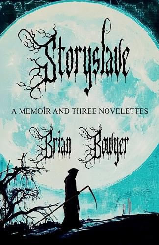 Cover image for Storyslave