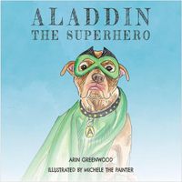 Cover image for Aladdin the Superhero