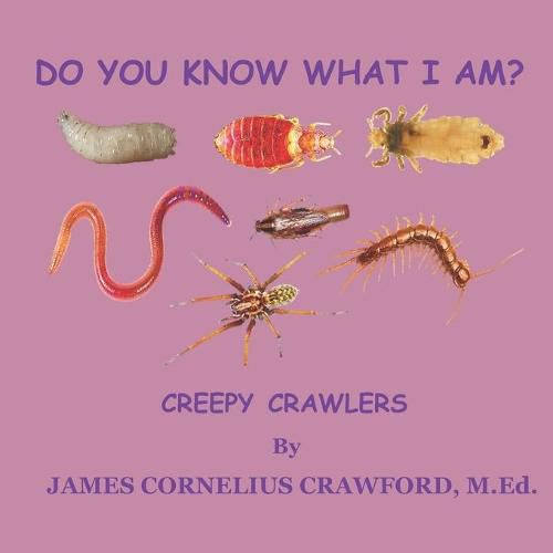 Cover image for Do You Know What I Am?: Creepy Crawlers