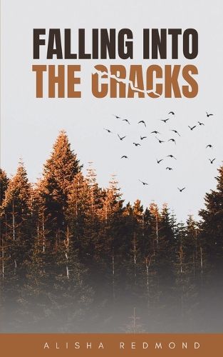 Cover image for Falling Into The Cracks