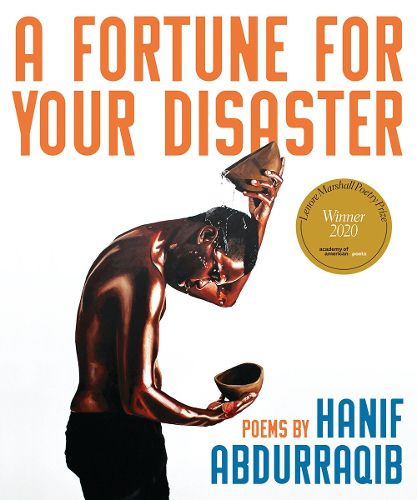 Cover image for A Fortune for Your Disaster