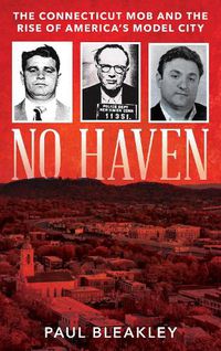 Cover image for No Haven