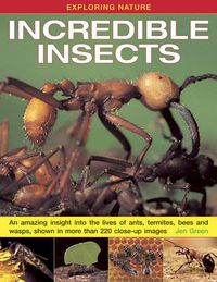 Cover image for Exploring Nature: Incredible Insects: An Amazing Insight into the Lives of Ants, Termites, Bees and Wasps, Shown in More Than 220 Close-up Images