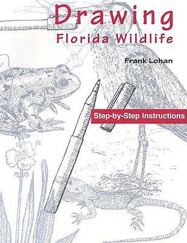 Cover image for Drawing Florida Wildlife