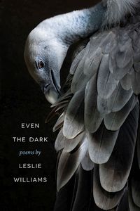 Cover image for Even the Dark