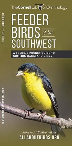 Cover image for Feeder Birds of the Southwest: A Folding Pocket Guide to Common Backyard Birds