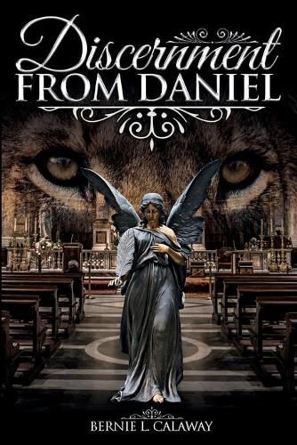 Cover image for Discernment from Daniel