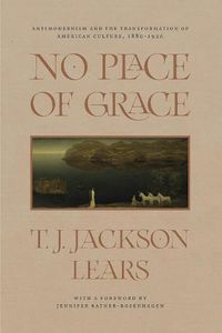 Cover image for No Place of Grace: Antimodernism and the Transformation of American Culture, 1880-1920