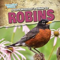 Cover image for A Bird Watcher's Guide to Robins