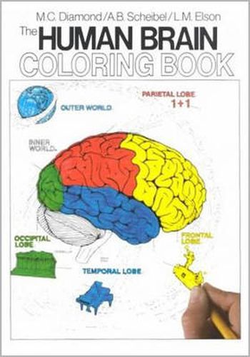 Cover image for The Human Brain Coloring Book