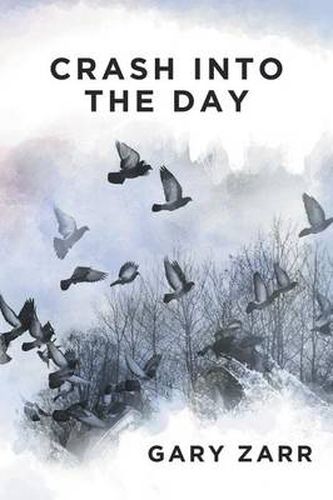 Cover image for Crash Into the Day