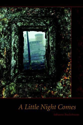 Cover image for A Little Night Comes