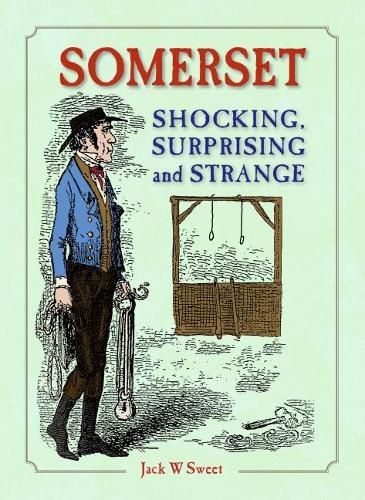 Cover image for Somerset Shocking, Surprising and Strange