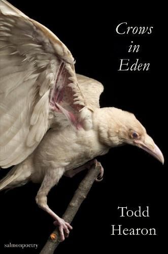 Cover image for Crows in Eden