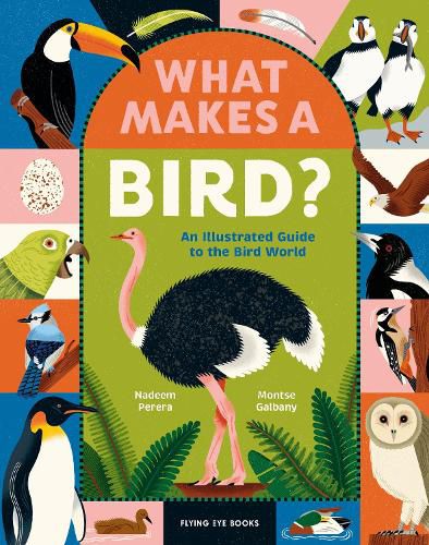 Cover image for What Makes a Bird?