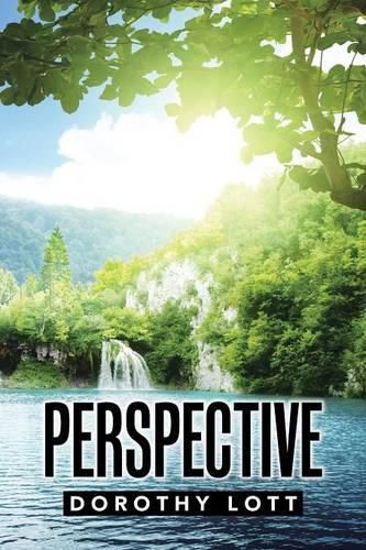 Cover image for Perspective