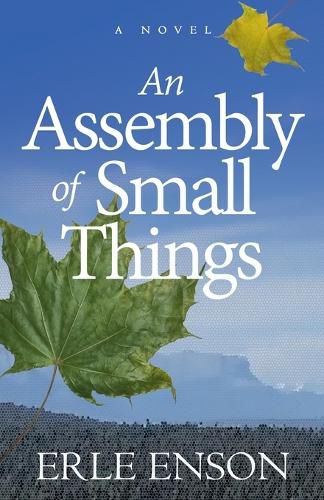Cover image for An Assembly of Small Things