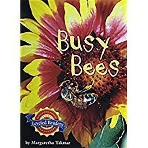 Cover image for Busy Bees: Level 2.4.2 on LVL
