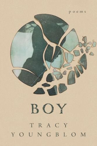 Cover image for Boy