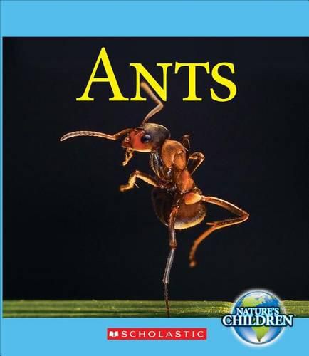 Ants (Nature's Children) (Library Edition)