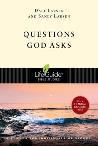 Cover image for Questions God Asks