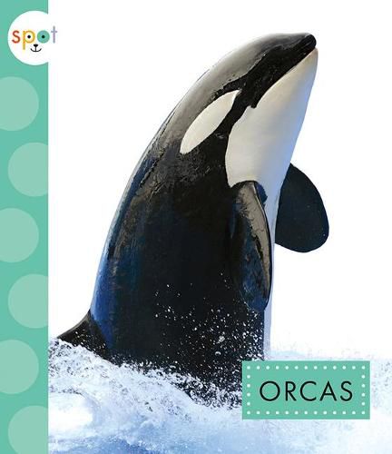 Cover image for Orcas