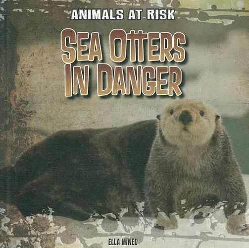 Cover image for Sea Otters in Danger