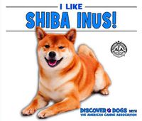 Cover image for I Like Shiba Inus!