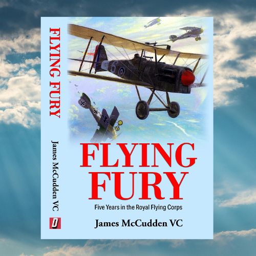 Cover image for Flying Fury