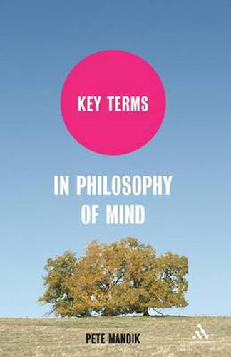 Cover image for Key Terms in Philosophy of Mind