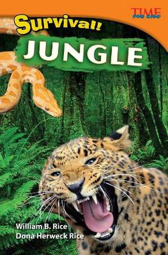 Cover image for Survival! Jungle