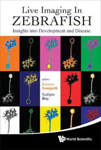 Cover image for Live Imaging In Zebrafish: Insights Into Development And Disease