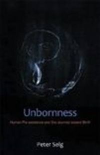 Cover image for Unbornness: Human Pre-Existence and the Journey Toward Birth