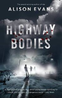 Cover image for Highway Bodies