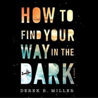 Cover image for How to Find Your Way in the Dark