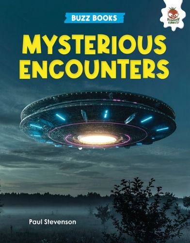 Cover image for Mysterious Encounters