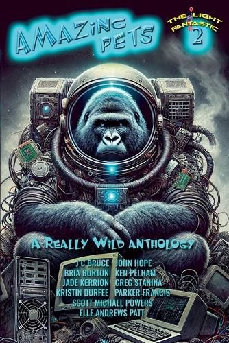 Cover image for The Light Fantastic 2