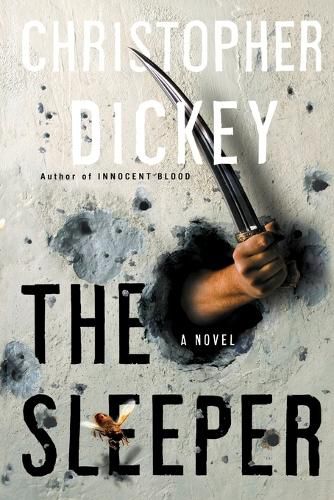 Cover image for The Sleeper