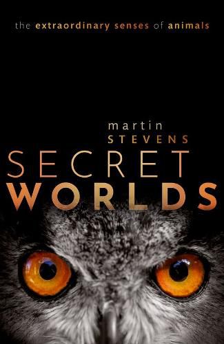 Cover image for Secret Worlds