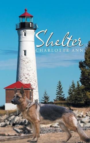 Cover image for Shelter