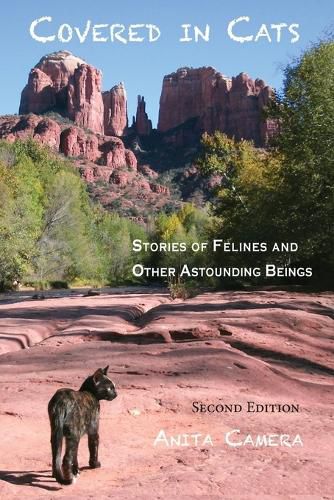 Cover image for Covered in Cats