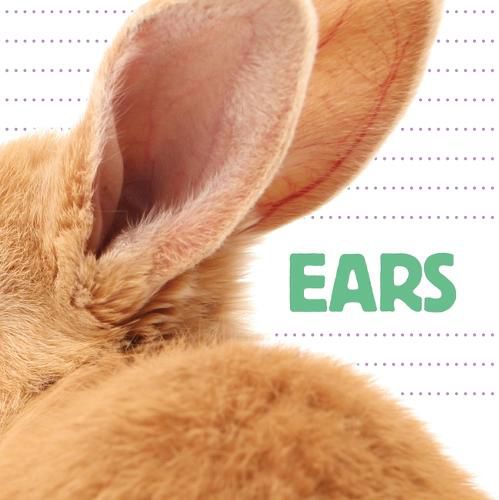 Cover image for Ears