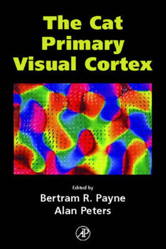 Cover image for The Cat Primary Visual Cortex