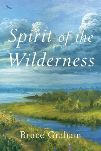 Cover image for Spirit of the Wilderness