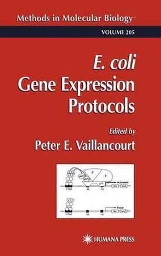 Cover image for E. coli Gene Expression Protocols