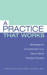 Cover image for A Practice that Works: Strategies to Complement Your Stand Alone Therapy Practice