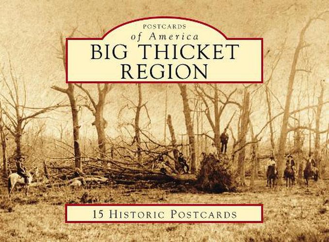 Cover image for Big Thicket Region