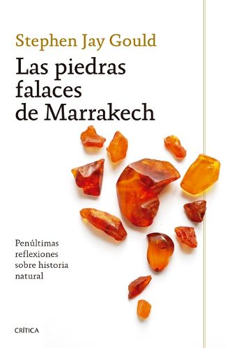 Cover image for Las Piedras Falaces de Marrakech: Penultimas Reflexiones Sobre Historia Natural / The Lying Stones of Marrakech