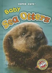 Cover image for Baby Sea Otters